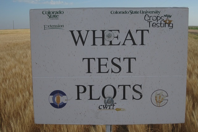 Wheat sign